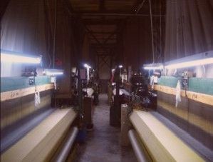 海宁许村海王盈信纺织厂的多元化发展 从纺织制造到鞋帽零售的跨越